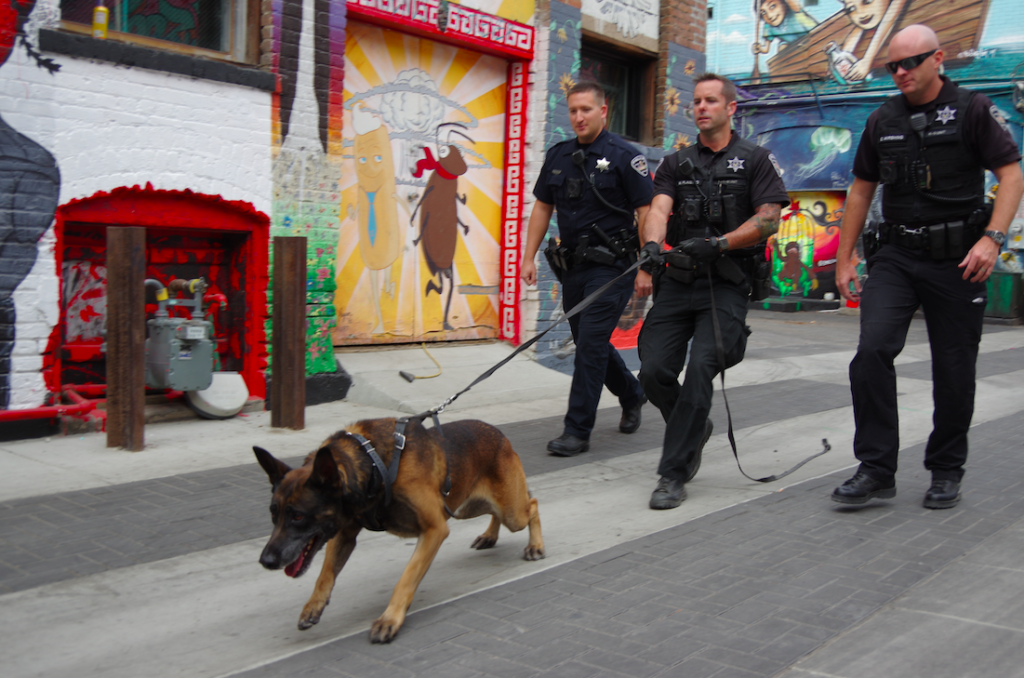 Boise Police K9