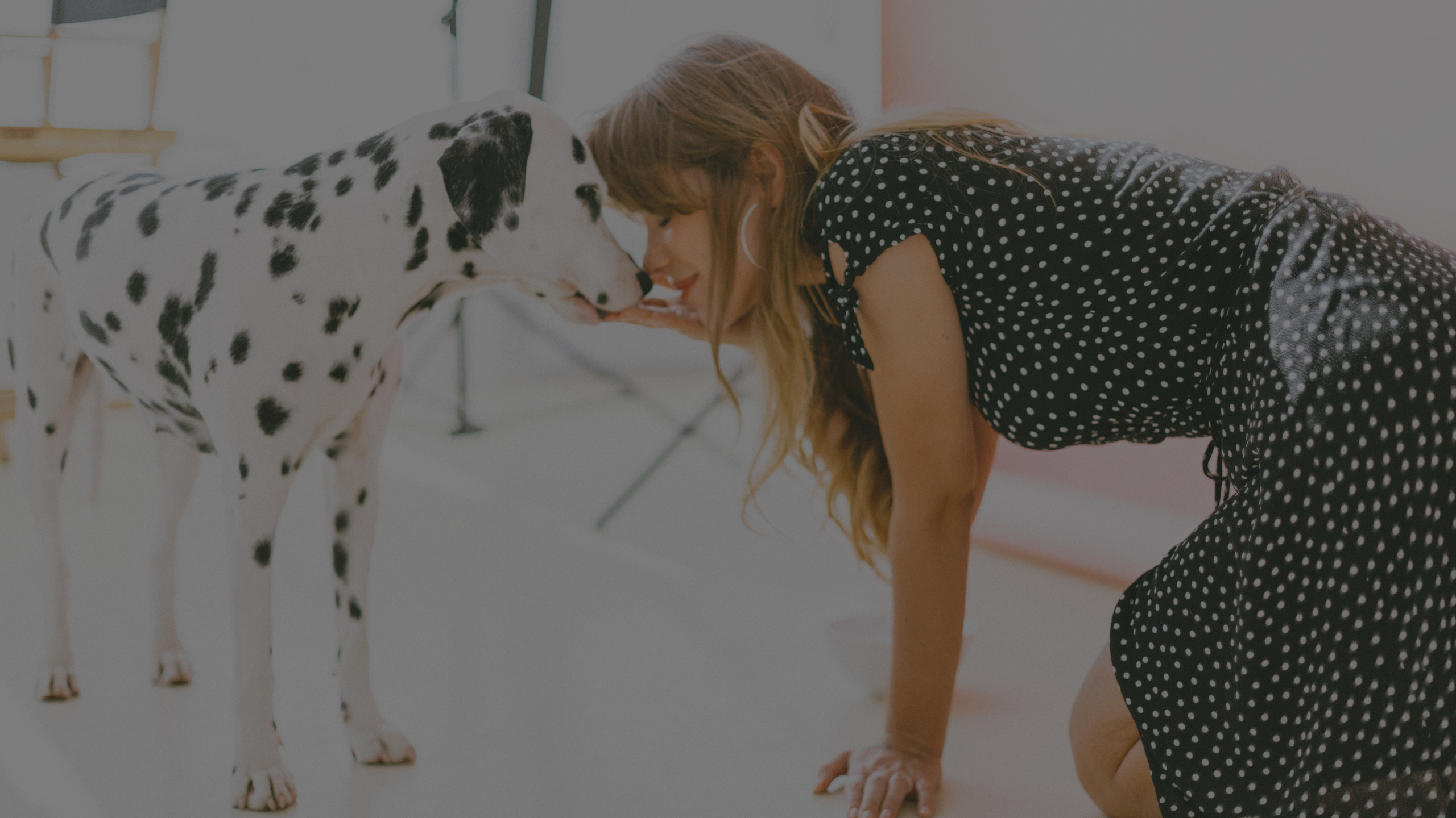 If You Don’t Have Office Dogs, You’re Doing It Wrong